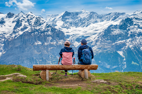 Privéreis van Zürich naar Grindelwald &amp; Interlaken