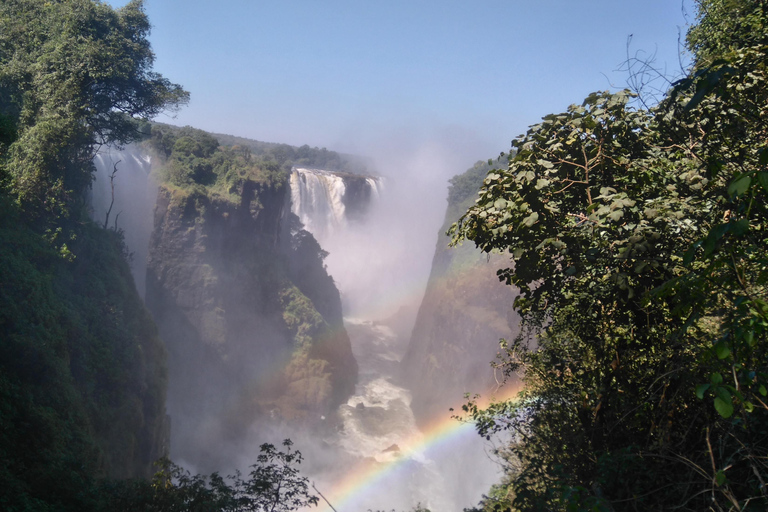 Guided Tour of the Victoria Falls