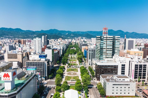 Sapporo: Buddha Hill, TV Tower, and Sake Stand Bar Tour