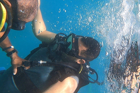 Scuba Diving in Puerto Plata Scuba Dive + Transport
