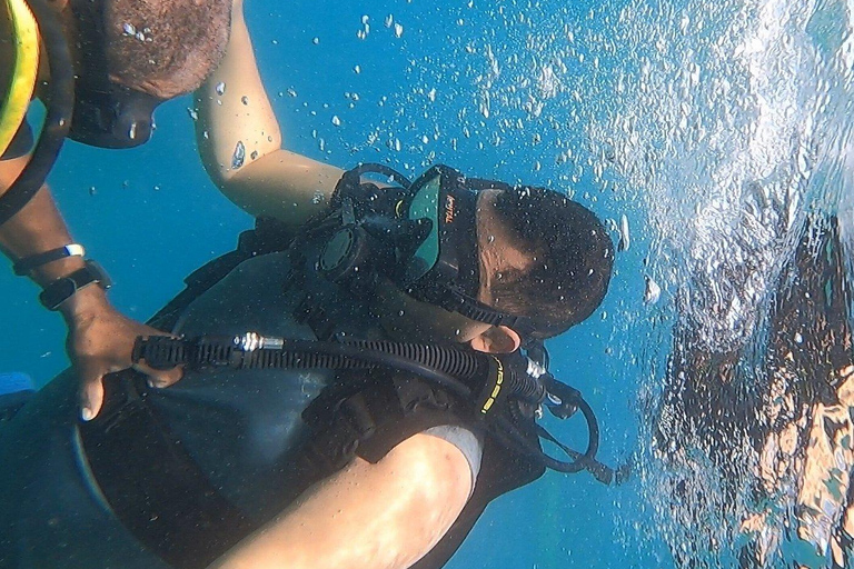 Scuba Diving in Puerto Plata Scuba Dive + Transport