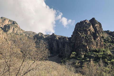 Yerevan: Vayots Dzor Private Tour with Geyser & Fortress