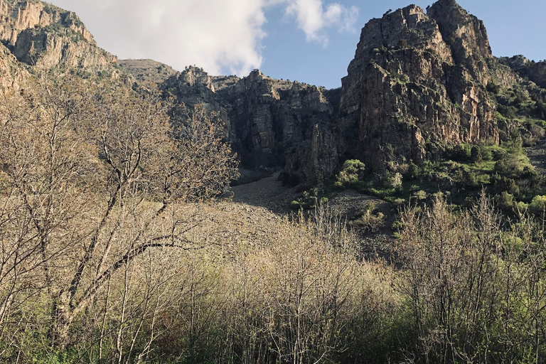 Yerevan: Vayots Dzor Private Tour with Geyser & Fortress