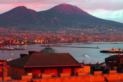 From Pompeii: Mount Vesuvius Roundtrip Bus Transfer