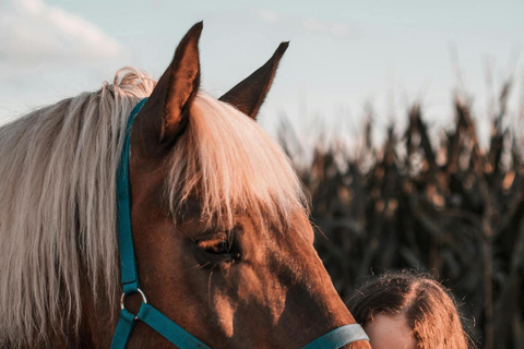Quito: Full-Day Cotopaxi Horseback Tour & Volcano Views