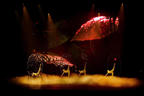 岘港：汉江晚餐游船之旅（含仙沙表演）岘港：汉江晚餐游船之旅，含仙沙表演