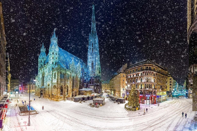 Vienna's Imperial Christmas: Markets & Palace Tour Vienna's Imperial Christmas: 3-Hour Private Tour