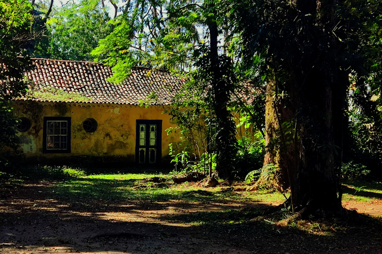 Rio de Janeiro: Tijuca Caves Guided Hike with Park Entry