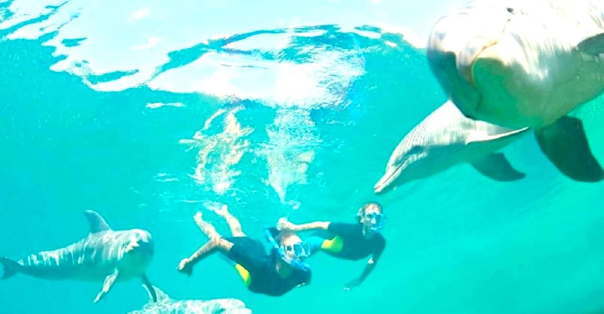 ÃŽle aux Bénitiers, tour catamarano con l'orologio e il pranzo dei delfini - Hizvo