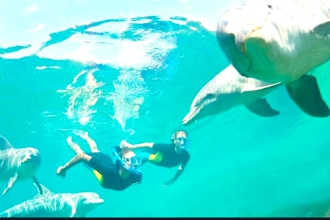 Île aux Bénitiers : Excursion en catamaran avec observation des dauphins et déjeuner