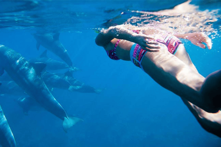 Découvrez l'île Maurice : Observation des dauphins, plongée en apnée, déjeuner barbecue