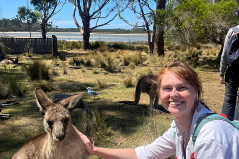 6 Day Taste of Tasmania Tour Private room shared bathroom 1 person