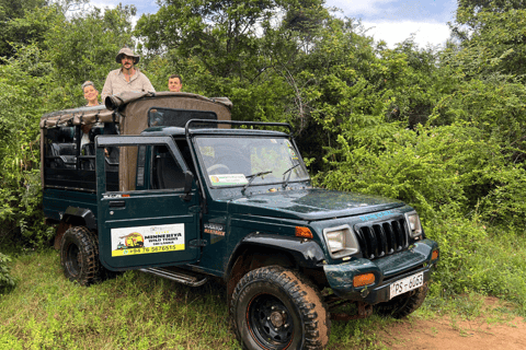 Tour delle rocce di Sigiriya e safari in jeep a Minneriya Sri Lanka