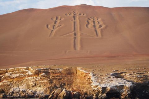 Desde Huacachina y Paracas-Ica | Excursión de 2 días a Ica