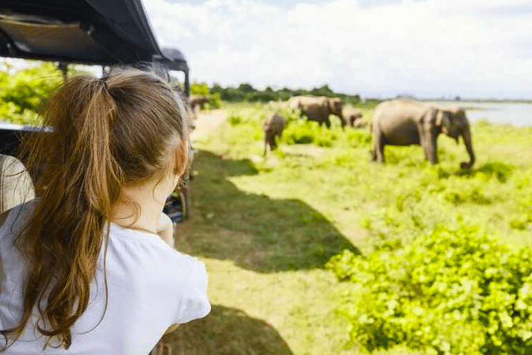 Jeepsafari till Udawalawa nationalpark från Colombo