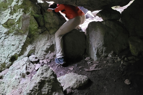 2-Day Sierra Norte Cloud Forest Adventure