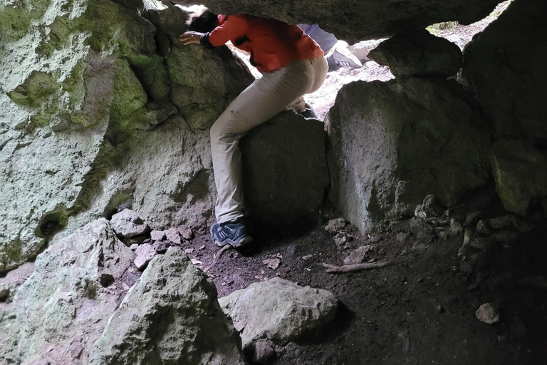 2-Day Sierra Norte Cloud Forest Adventure