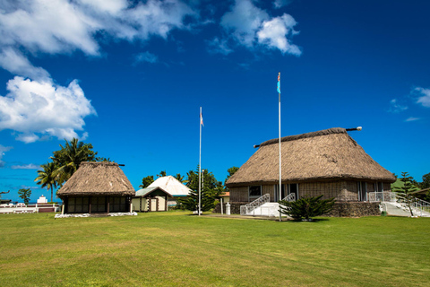 Nadi: wycieczka po fidżyjskiej wiosce z basenem błotnym Tifajek i gorącymi źródłamiHotele w Nadi / Port Denarau / Double Tree / Odbiór z Vuda