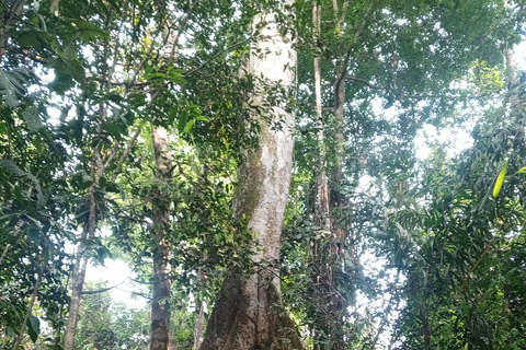 Iquitos: excursão de natureza e aventura na Amazónia Peru