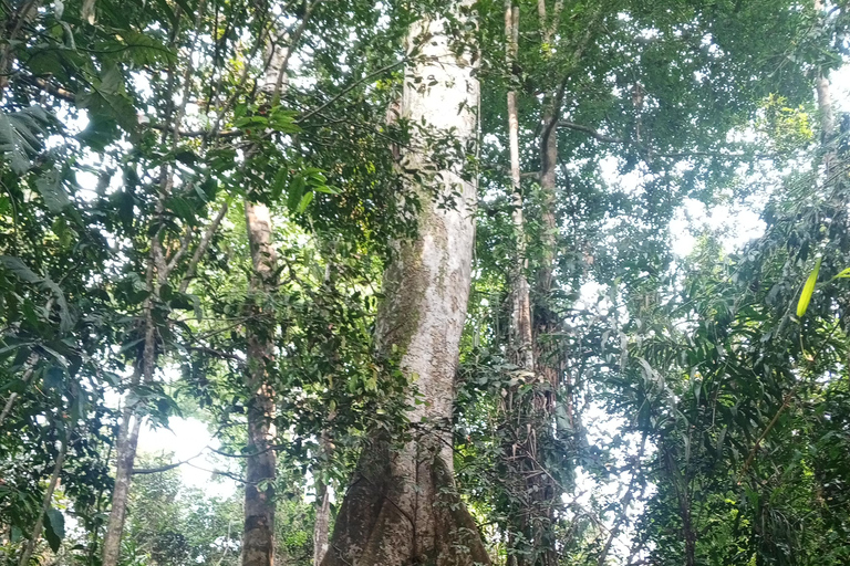 Iquitos: nature and adventure tour amazon Peru