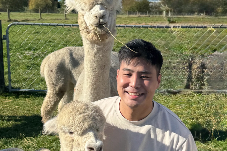 From Christchurch: Alpaca Farm Tour with Feeding and Guide
