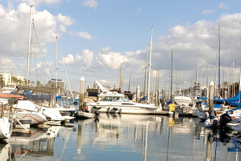 Los Angeles Luxus-Kreuzfahrt mit Wein, Charcuterie und SeelöwenGYG#1 Bootstour mit Wein &amp; Käse oder Überraschungsdinner Option