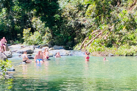 San Juan: El Yunque Rainforest Wycieczka z przewodnikiem