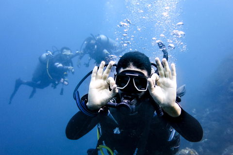 Tayrona National Park: Fun Dives in Caribbean Reefs