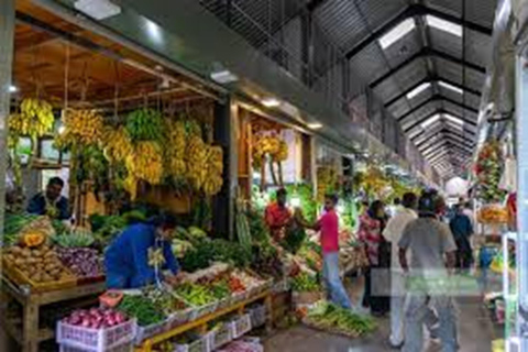 Kandy to Ella Transfer With Lakes, Falls & Botanical Garden