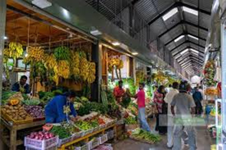 Kandy to Ella Transfer With Lakes, Falls & Botanical Garden