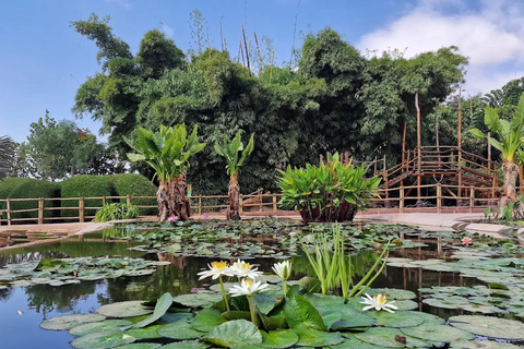 Agadir Crocoparc Entry Ticket with Botanical Gardens Access