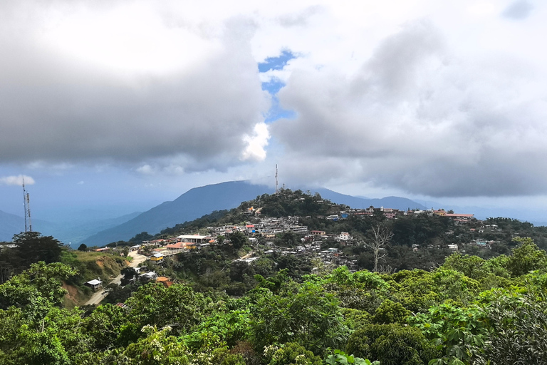 From Huatulco to Pluma Hidalgo: a gastronomic and natural immersion