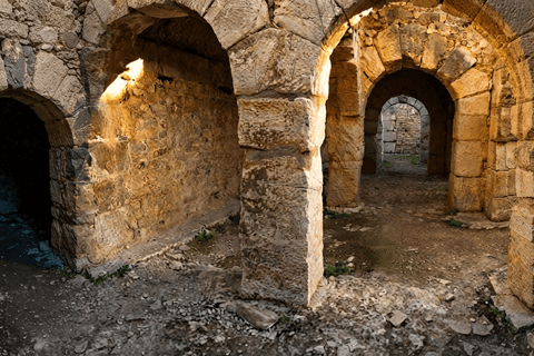 Tunis/Hammamet: Testour, Dougga, Bulla Regia, Beja with Lunch Included Driver only (without live guide or meals)