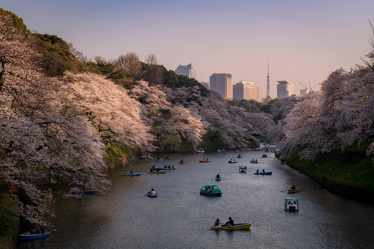 Tokyo: Photography Masterclass - Private Photo Lesson Tokyo: Photography Masterclass - Night Tour