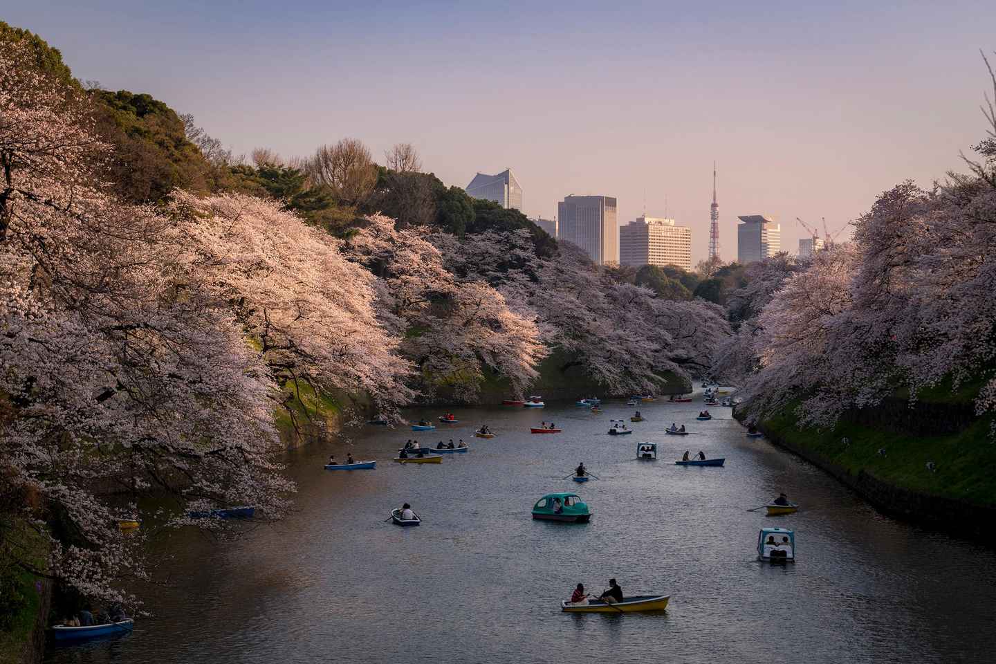 tokyo private photo tour with a professional photographer