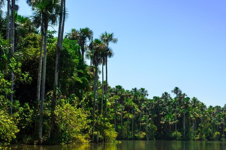 Tambopata: Sandoval Lake and Cayman Safari 2 days