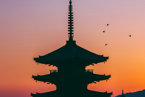 Kyoto: Private Highlight Day Tour with Guide and Vehicle