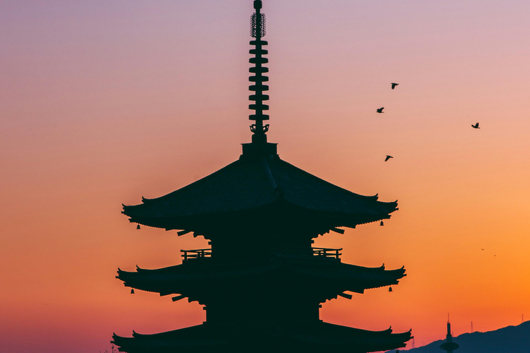 Kyoto: Private Highlight Day Tour with Guide and Vehicle