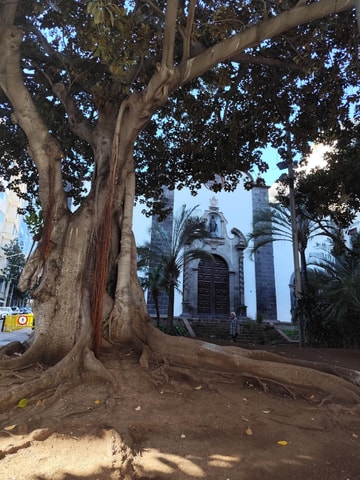 Santa Cruz de Tenerife: Prestigious Places Walk