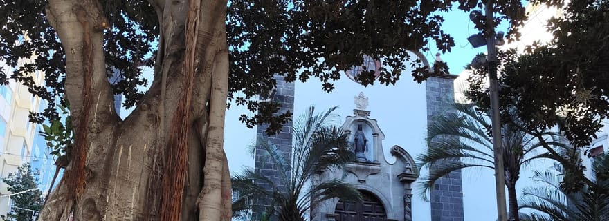 Santa Cruz de Tenerife : Promenade dans des lieux prestigieux