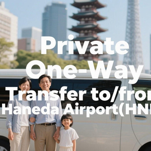 Tokyo: Private One-Way Transfer to/from Haneda Airport (HND)