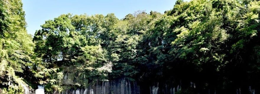 Au départ de Shinfuji : visite guidée de la nature du mont Fuji avec guide et véhicule