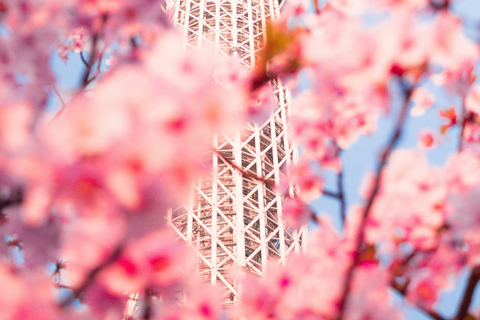 Tokyo: 2-Day Guided Tour with Kamakura & Hotel Pickup