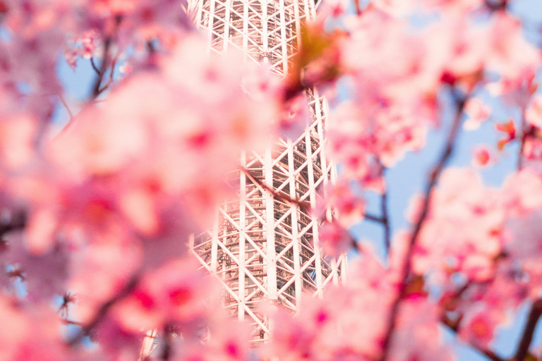 Tokyo: 2-Day Guided Tour with Kamakura & Hotel Pickup