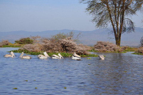 Nairobi: Hell's Gate & Lake Naivasha Day Trip with Boat Ride