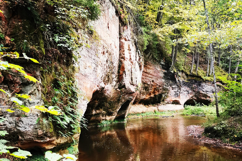 From Riga: Ligatne Village and Gauja River National Park …