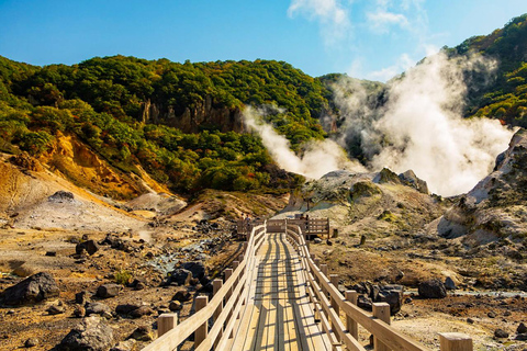 Monte Fuji: Oshino Hakkai, Hakone, Excursión de un día en teleférico OwakudaniEstación de Tokio 8:00