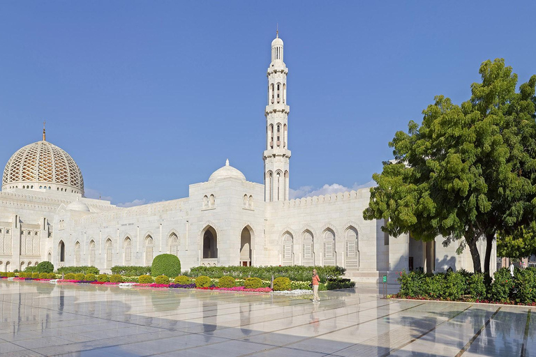 Tour della città di Muscat di mezza giornata, 4 oreTour della città di Muscat di mezza giornata (4 ore)