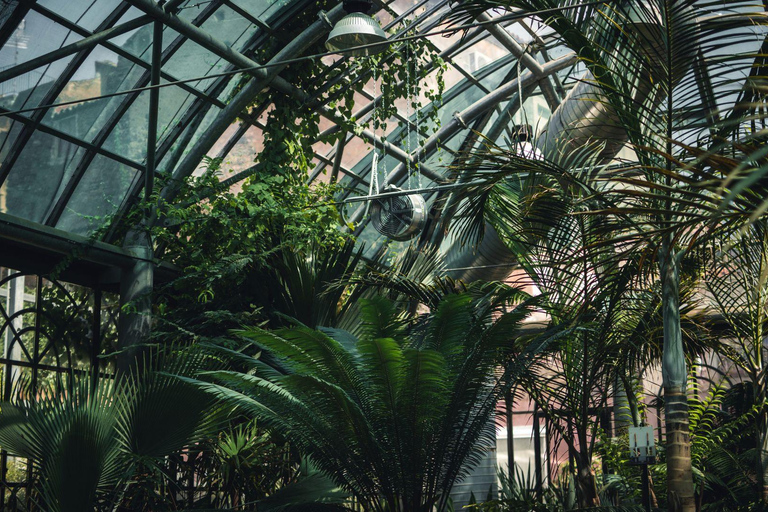 Passeio pela cidade de KL, cavernas de Batu e Malaca