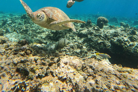 Snorkeling and Sunrise Boat Tour